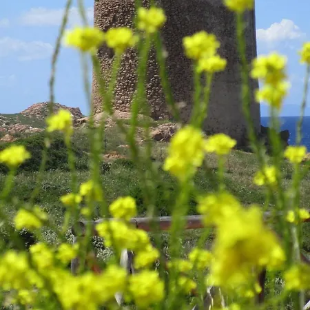 Casa Del Faro דירה